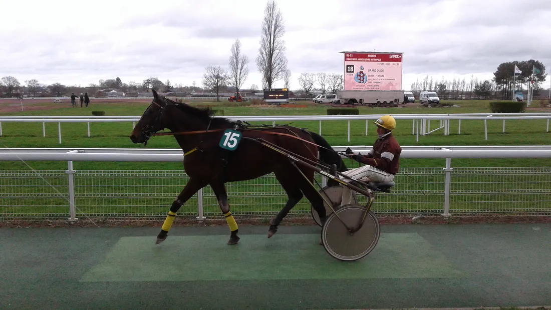 Hippodrome Angers-Trot-2
